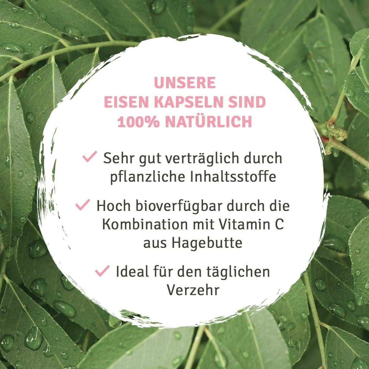 InnoNature - Natürliches Eisen + Vitamin C - 120 Kapseln