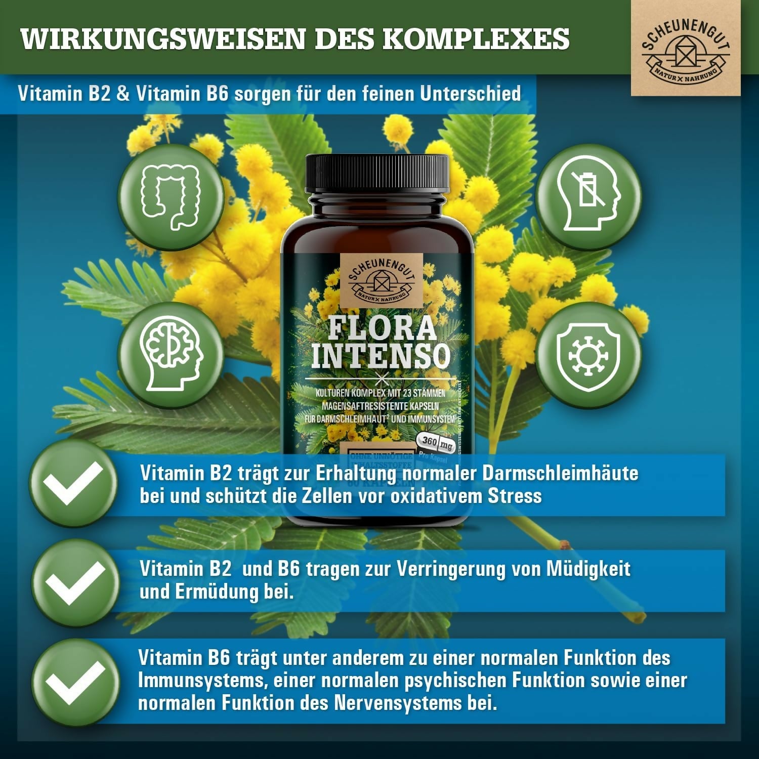 Scheunengut - Flora Intenso - 60 Kapseln