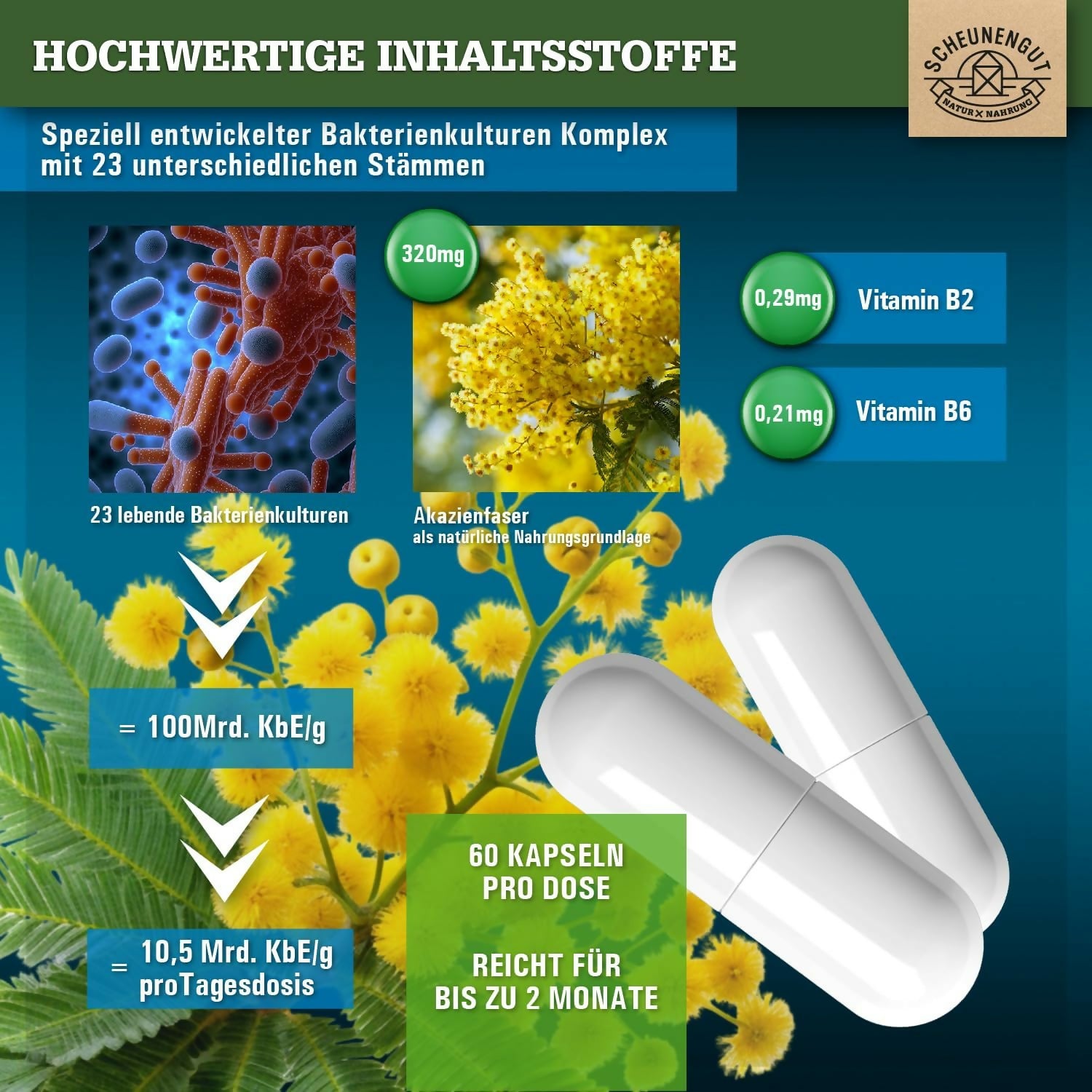 Scheunengut - Flora Intenso - 60 Kapseln