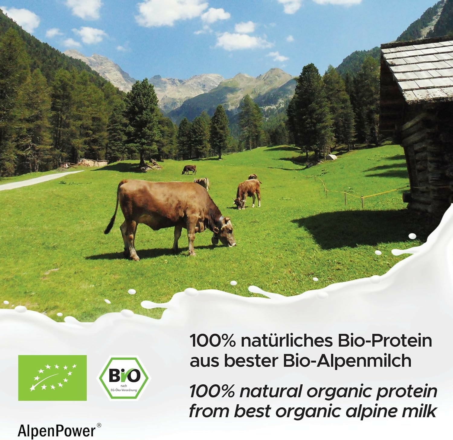 AlpenPower - Bio Whey Protein (Kaffee, Zitrone, Apfelstrudel, Joghurt-Wildberry) - 500g