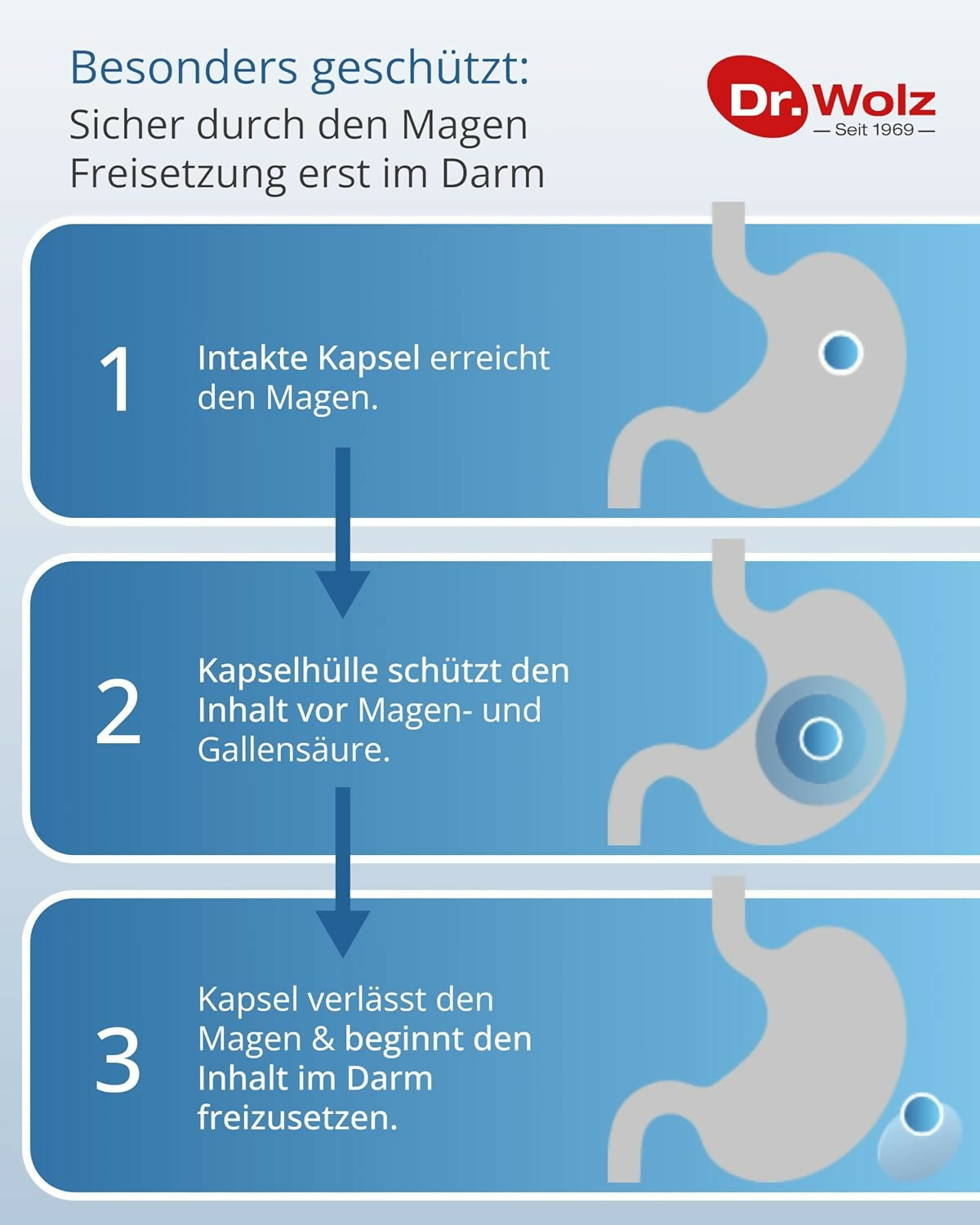 Dr. Wolz – Darmflora plus select - 40 Kapseln