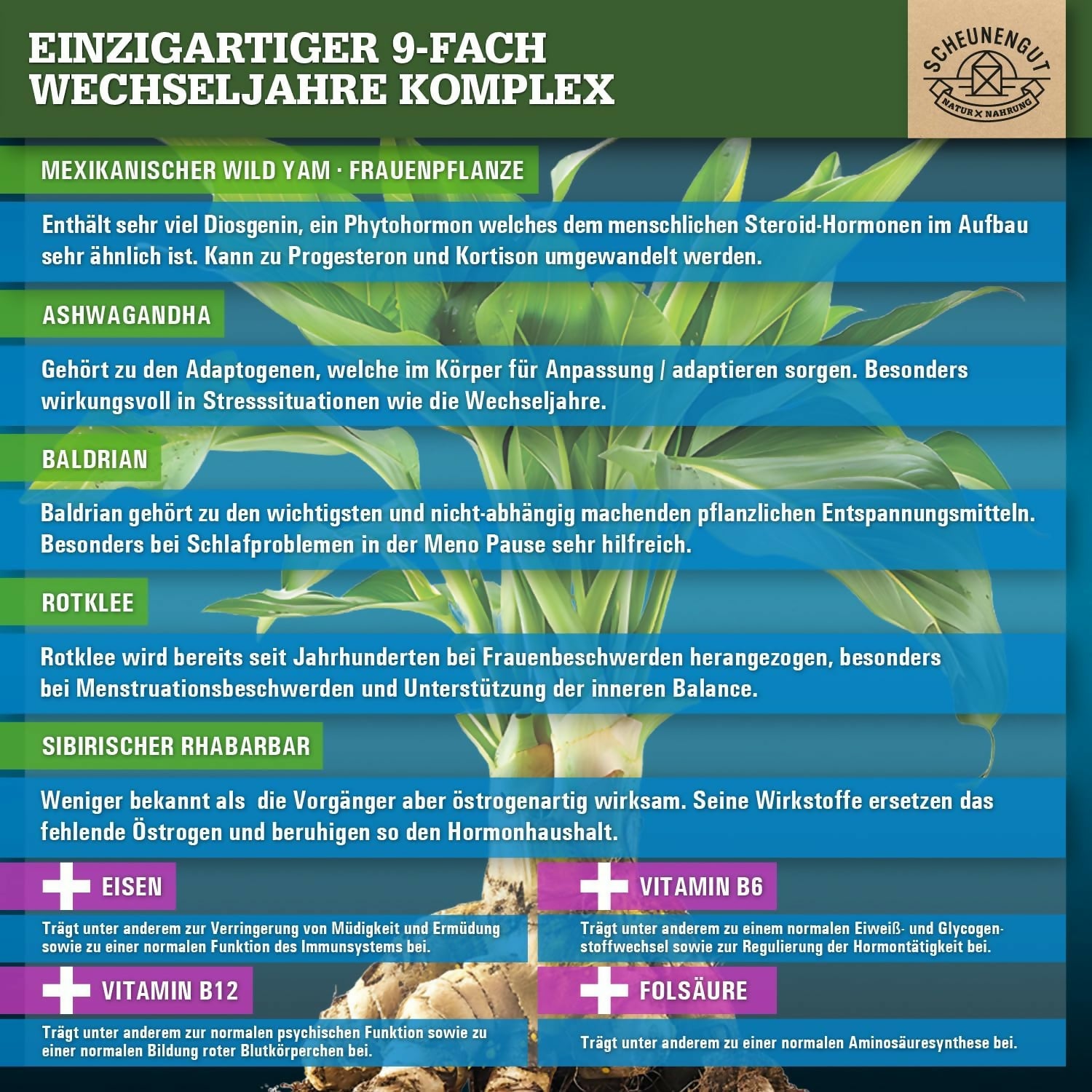 Scheunengut - Meno Intenso - 120 Kapseln