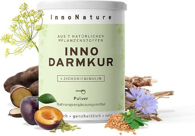 InnoNature - Darmkur Pulver - 336g