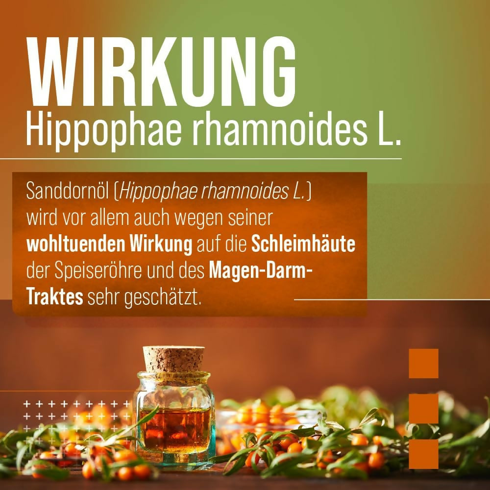 Kräuterhaus Sanct Bernhard - Omega 7 Sanddornöl - 100 Kapseln
