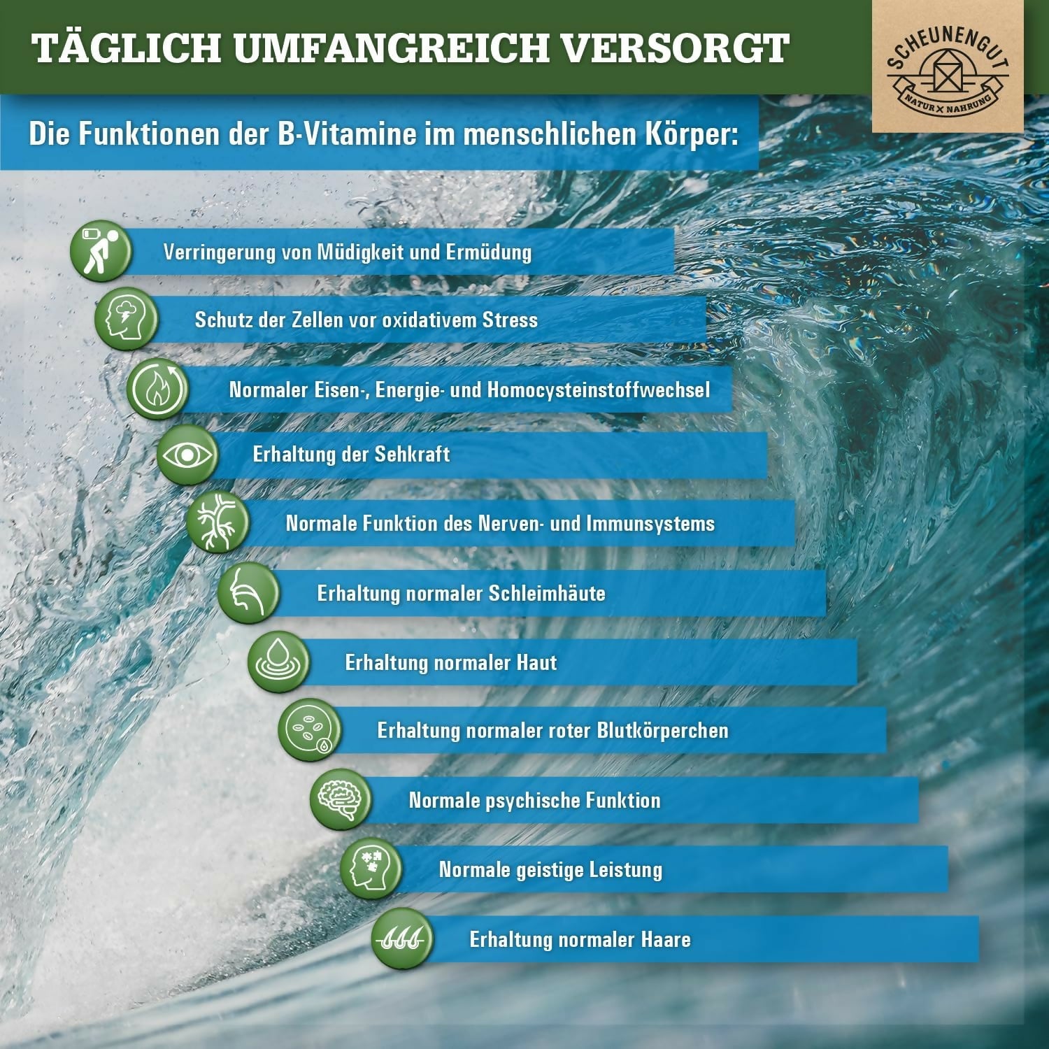 SCHEUNENGUT - Vitamin B - 180 Kapseln