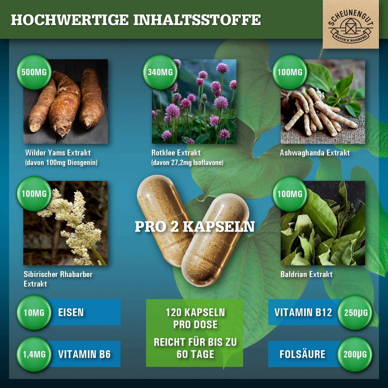 Scheunengut - Meno Intenso - 120 Kapseln